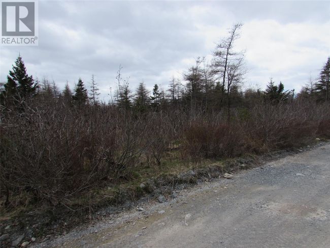 45 New Line Road, Home with 0 bedrooms, 0 bathrooms and null parking in Colliers NL | Image 19