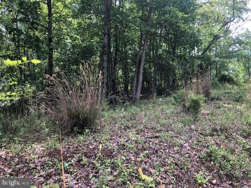 Lot 1 Jones Spring West Rd, HEDGESVILLE, WV, 25427-3071 | Card Image