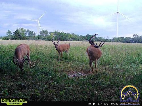 east-of-planter-and-23rd-rd-000 23rd Rd, Waverly, KS, 66871 | Card Image