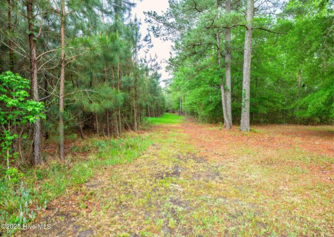 0 Maules Point Rd, Home with 0 bedrooms, 0 bathrooms and null parking in Blounts Creek NC | Image 9