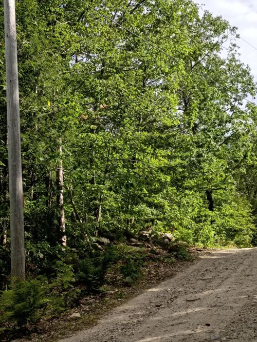 R13/038 Weeks Road, Parsonsfield, ME, 04047 | Card Image