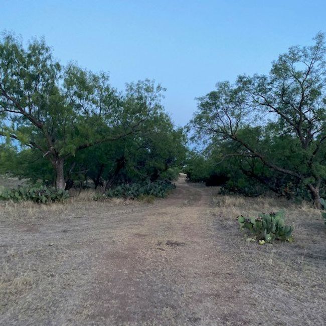 000 Private Rd 3922, Home with 0 bedrooms, 0 bathrooms and null parking in Miles TX | Image 26