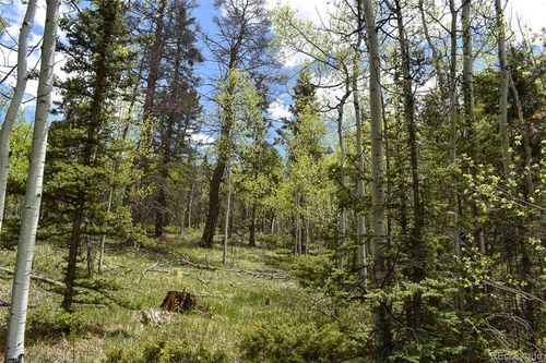 430 Timberline Drive, Guffey, CO, 80820 | Card Image