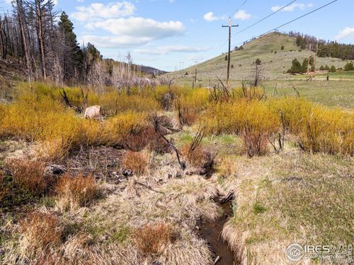 6651 W County Road 68c, Red Feather Lakes, CO, 80545-9509 | Card Image