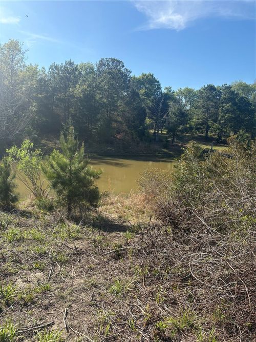 26770 Lakeshore Dr, Hempstead, TX, 77445 | Card Image