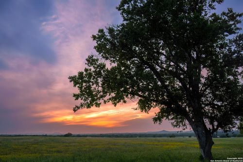 LOT4 Oak Mott Rd, Comfort, TX, 78013 | Card Image