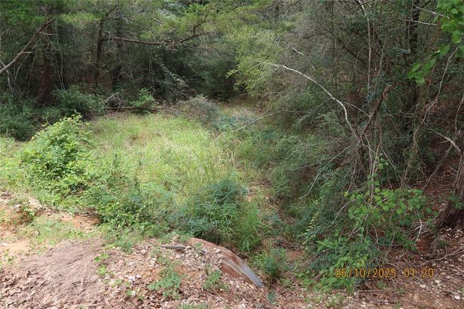 1584 Dungens Mill Rd, Home with 0 bedrooms, 0 bathrooms and null parking in Columbus TX | Image 18