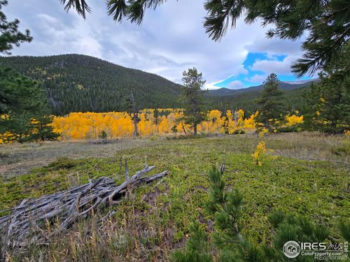 187 Arapaho Dr, Bellvue, CO, 80512 | Card Image