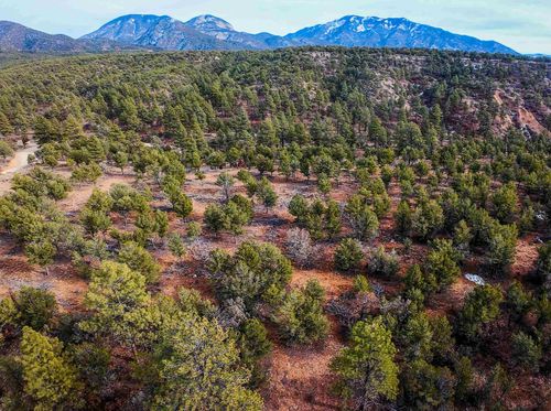 TBD Gallina Canyon Rd, Valdez, NM, 87580 | Card Image
