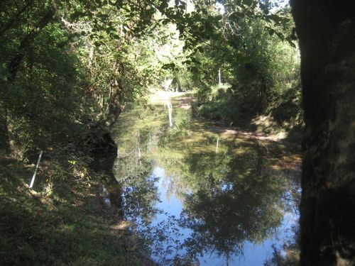 901 Haydon Brothers Rd, Springfield, KY, 40069-9531 | Card Image