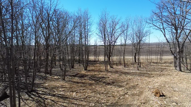 39 Sandy Ln, Home with 0 bedrooms, 0 bathrooms and null parking in Perham MN | Image 9