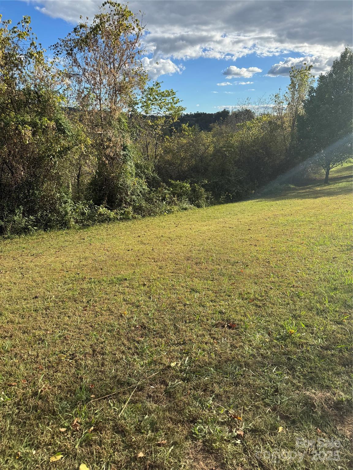 Land in Weaverville 2
