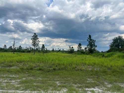 0 Pinnata Dr, INDIAN LAKE ESTATES, FL, 33855 | Card Image
