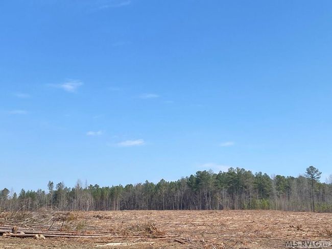 32.49 Ac Chalk Level Rd, Home with 0 bedrooms, 0 bathrooms and null parking in Alberta VA | Image 11