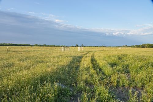 TBD County Road 626, Groesbeck, TX, 76642 | Card Image