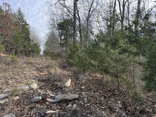 0 Riverview Rd, Clifton, TN, 38425 | Card Image