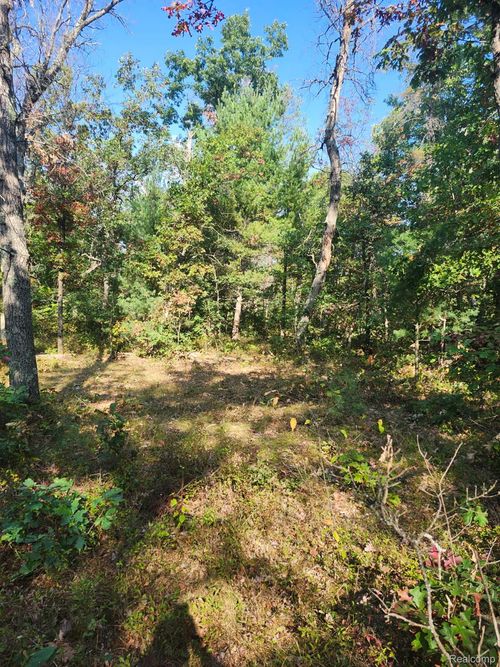 00 Yale Ave, Baldwin, MI, 49304 | Card Image