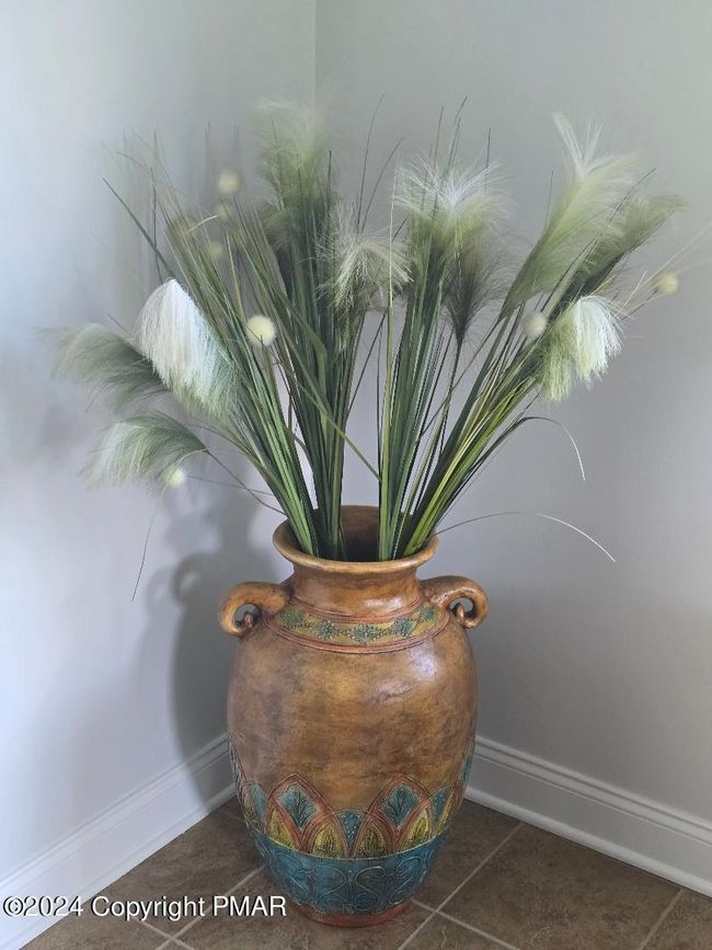 PLANT | Image 52