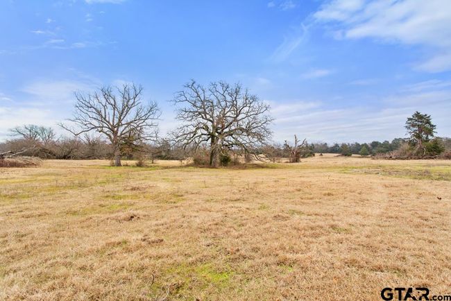 15037 State Highway 110, Home with 0 bedrooms, 0 bathrooms and null parking in Van TX | Image 25