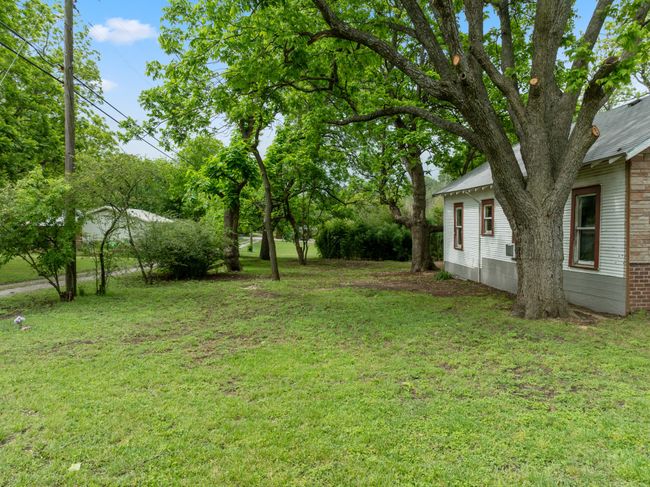 View of green lawn | Image 7