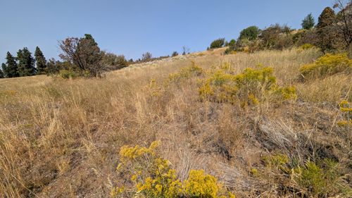 11-1111 Highway 422, Chiloquin, OR, 97624-7769 | Card Image