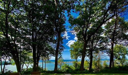788 Admiralty, Webster, NY, 14580 | Card Image