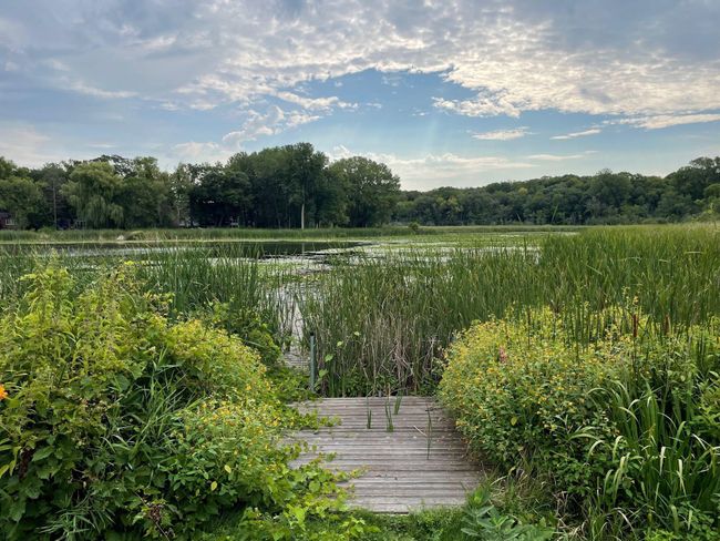 Wild Life | Image 53