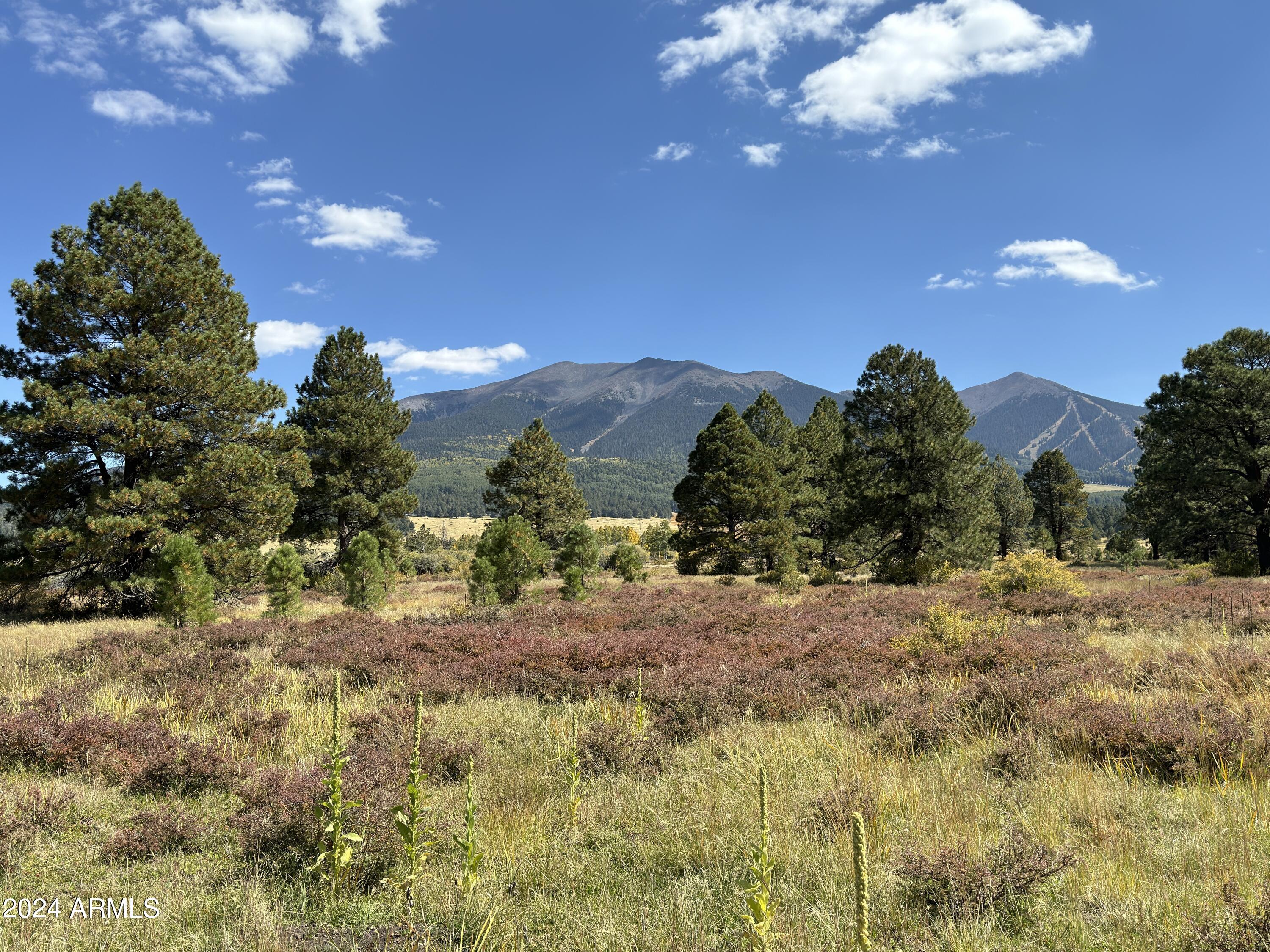 Land in Flagstaff 5