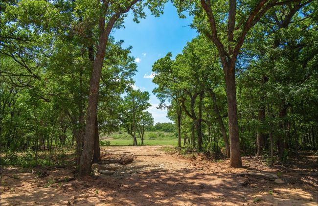 View of nature featuring a wooded view | Image 21