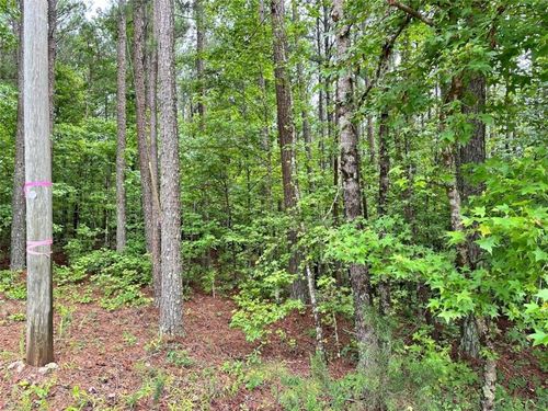 131 Johnson Road Ext, Locust Grove, GA, 30248 | Card Image