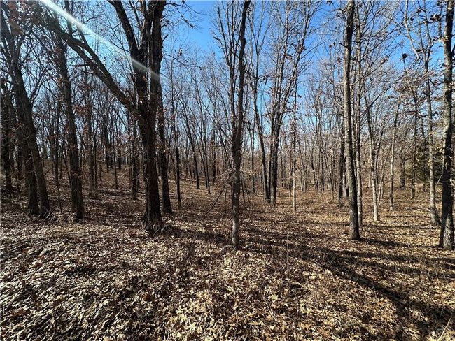 View of local wilderness | Image 6