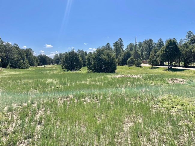 5 Yucca Flats Rd, Home with 0 bedrooms, 0 bathrooms and null parking in Tijeras NM | Image 9