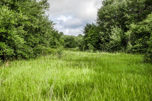 Tract 6 S Nassau Rd, Round Top, TX, 78954 | Card Image