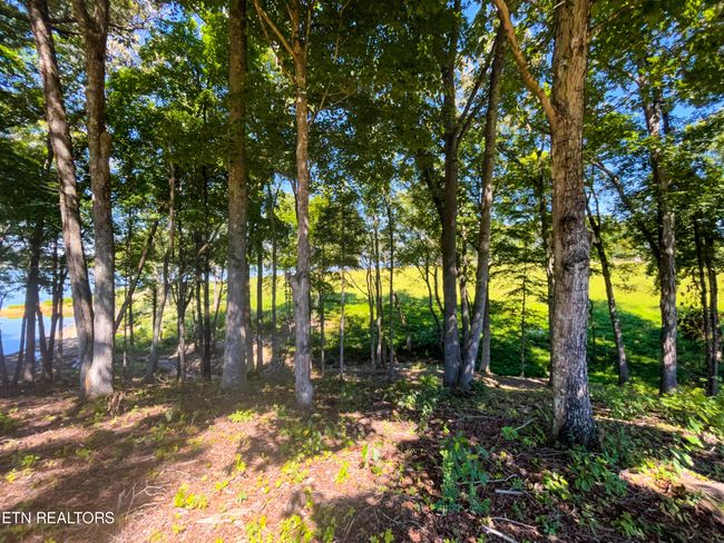 51 Sunset Blvd, Home with 0 bedrooms, 0 bathrooms and null parking in White Pine TN | Image 19