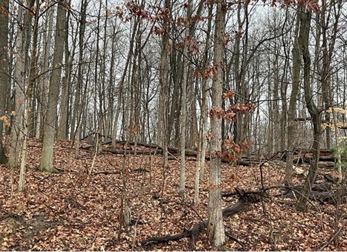 5-acres-0 Headleys Mill Rd Sw, Pataskala, OH, 43062 | Card Image