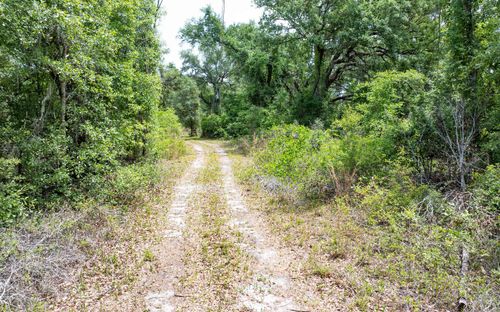1285 Se Koon Lake Rd, Mayo, FL, 32066-5908 | Card Image