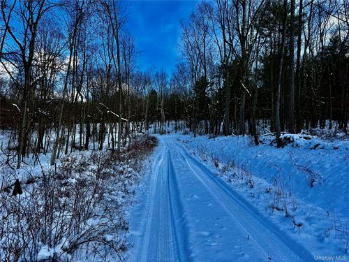 266 Pitts Rd, Old Chatham, NY, 12136-3010 | Card Image