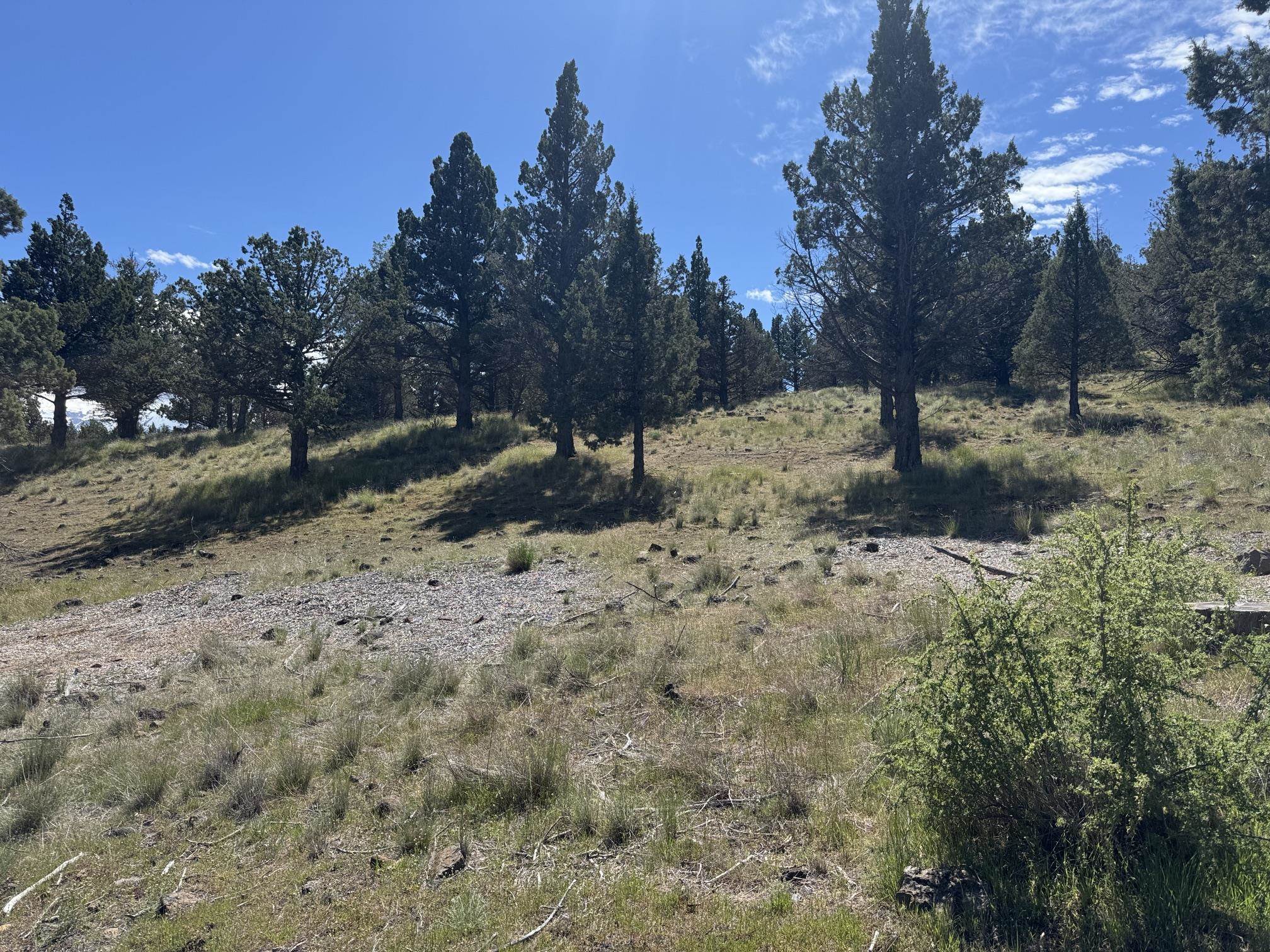 Land in Weed 5