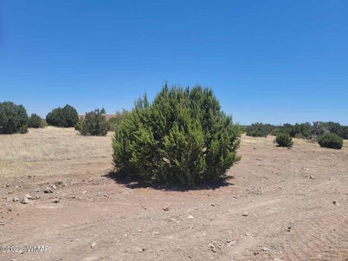 8430 Lake View Dr, Show Low, AZ, 85901-8158 | Card Image