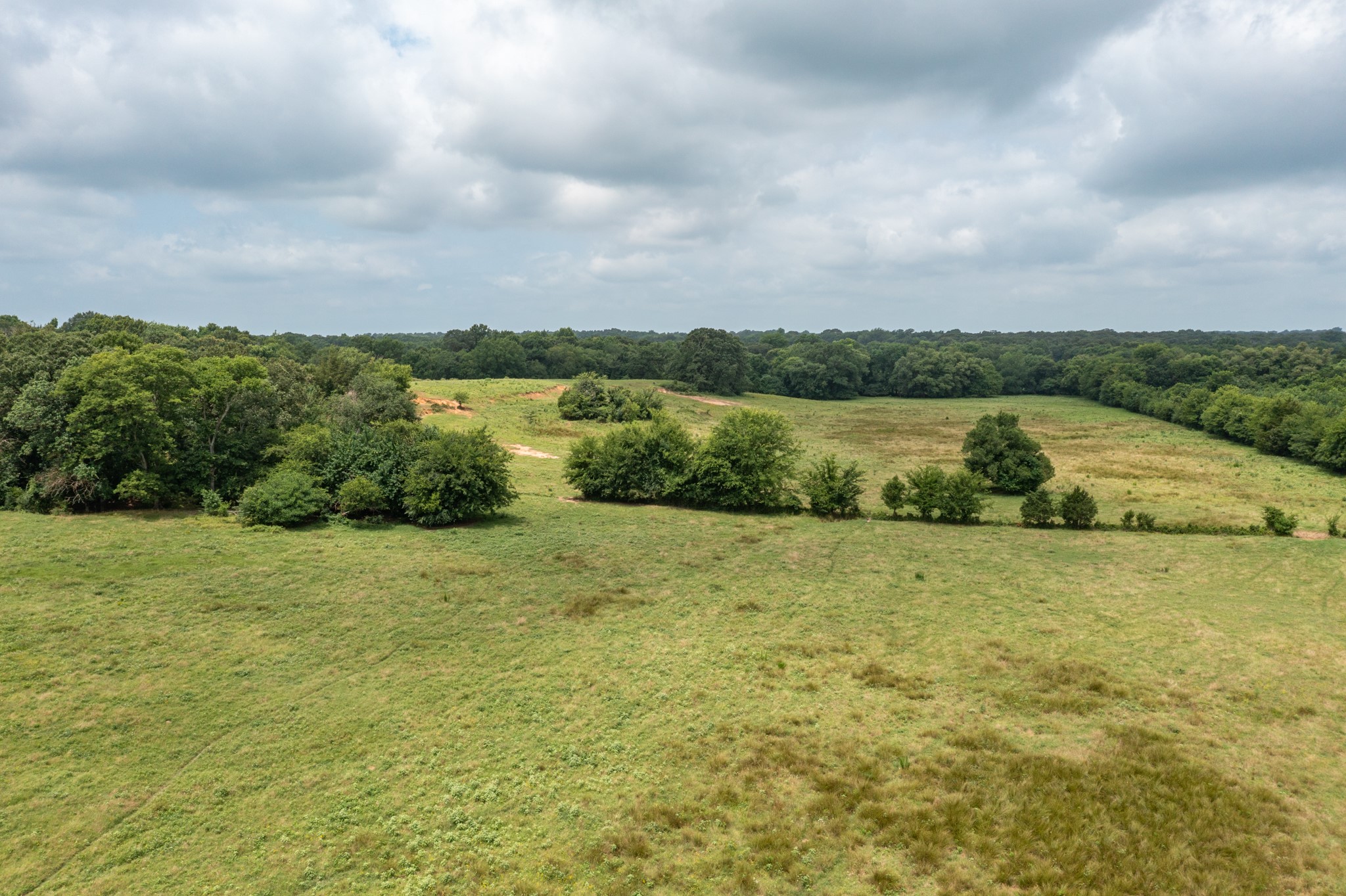 Land in Winnsboro 5
