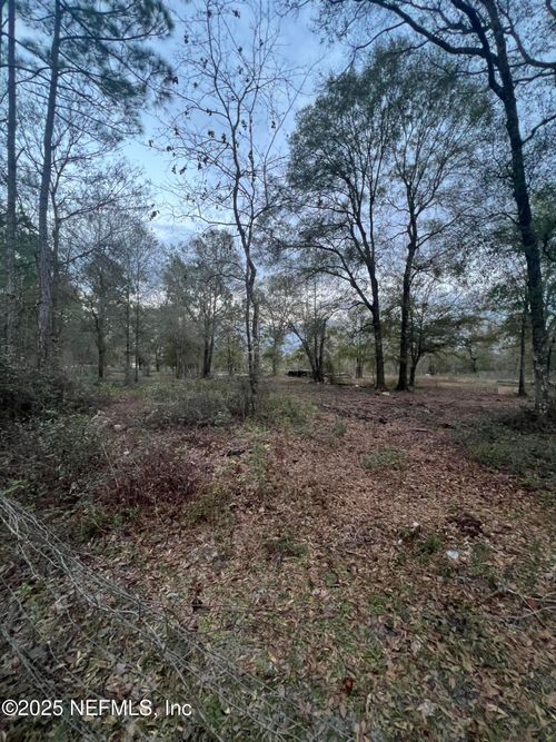 TBD Nw 251st St, Lawtey, FL, 32058 | Card Image