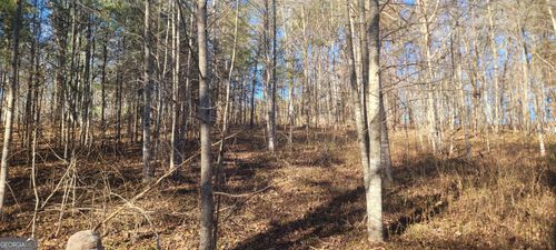 0 Avery Scroggs Rd, Hayesville, NC, 28904 | Card Image