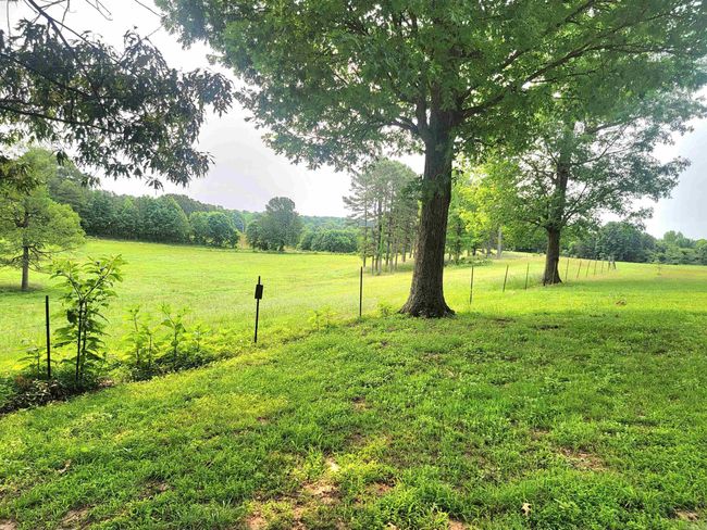1199 Greene Road 607, House other with 3 bedrooms, 3 bathrooms and null parking in Beech Grove AR | Image 22