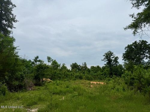 10.19 Acre Highway 43 N, Poplarville, MS, 39470 | Card Image
