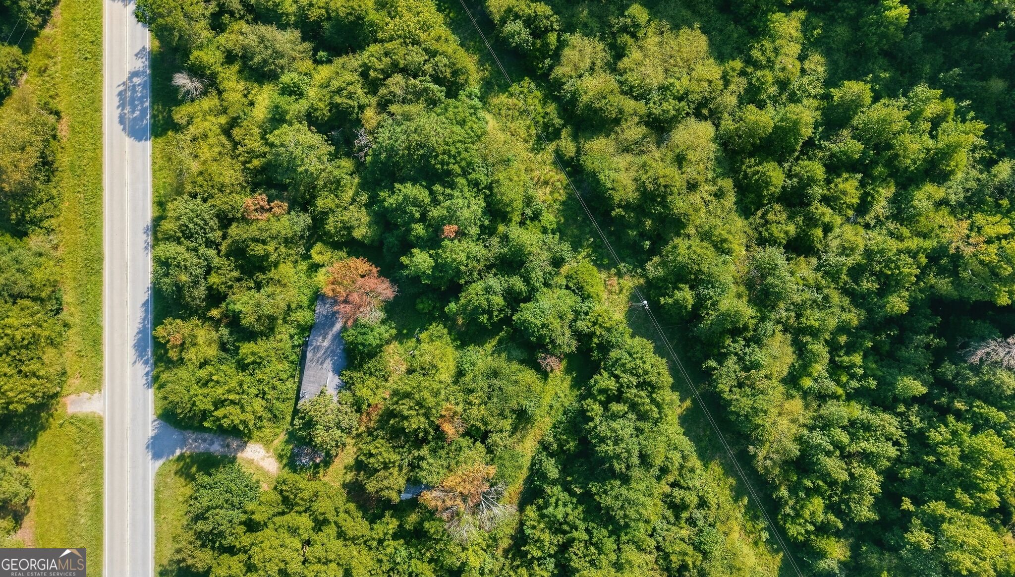 Land in Commerce 4