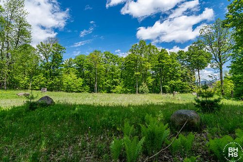 Lot 33 Mt Pisgah Ln, Saranac Lake, NY, 12983-5300 | Card Image