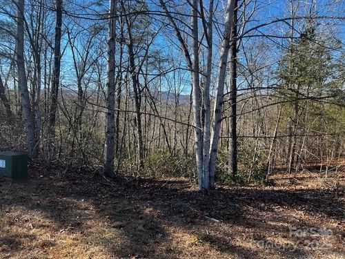 Lot 37 N Mountain Ln, Mill Spring, NC, 28756-7811 | Card Image