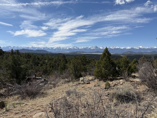 000 Redtail Trail, Texas Creek, CO, 81223 | Card Image