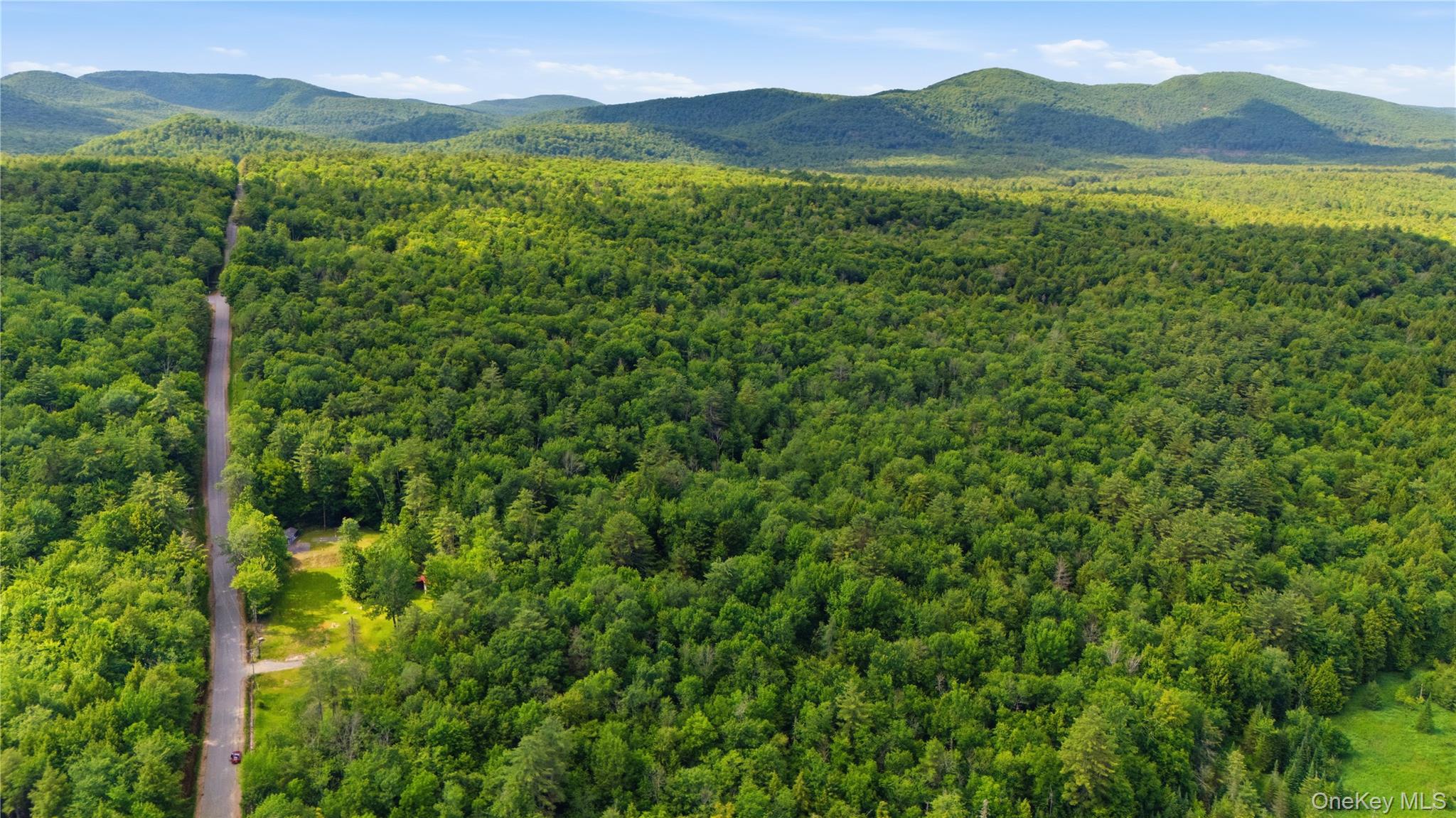 Land in Hadley 4