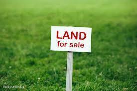 New Prospect Rd, Jackson, NJ 08527